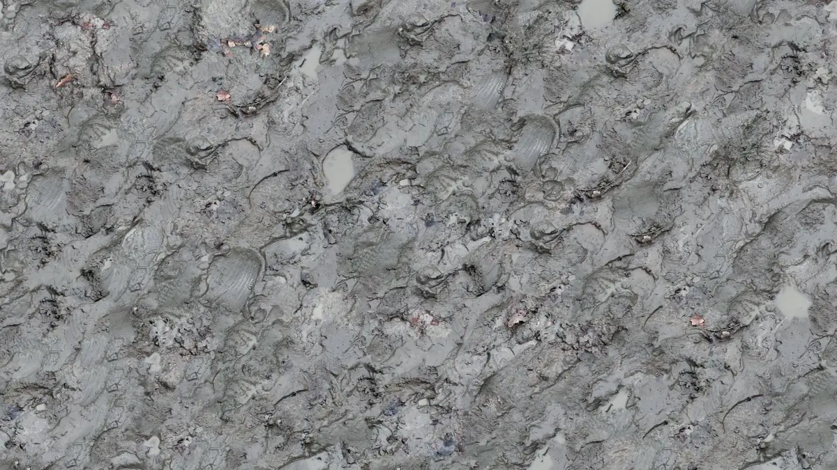 Natte compacte kleigrond waarin water moeilijk wegzakt
