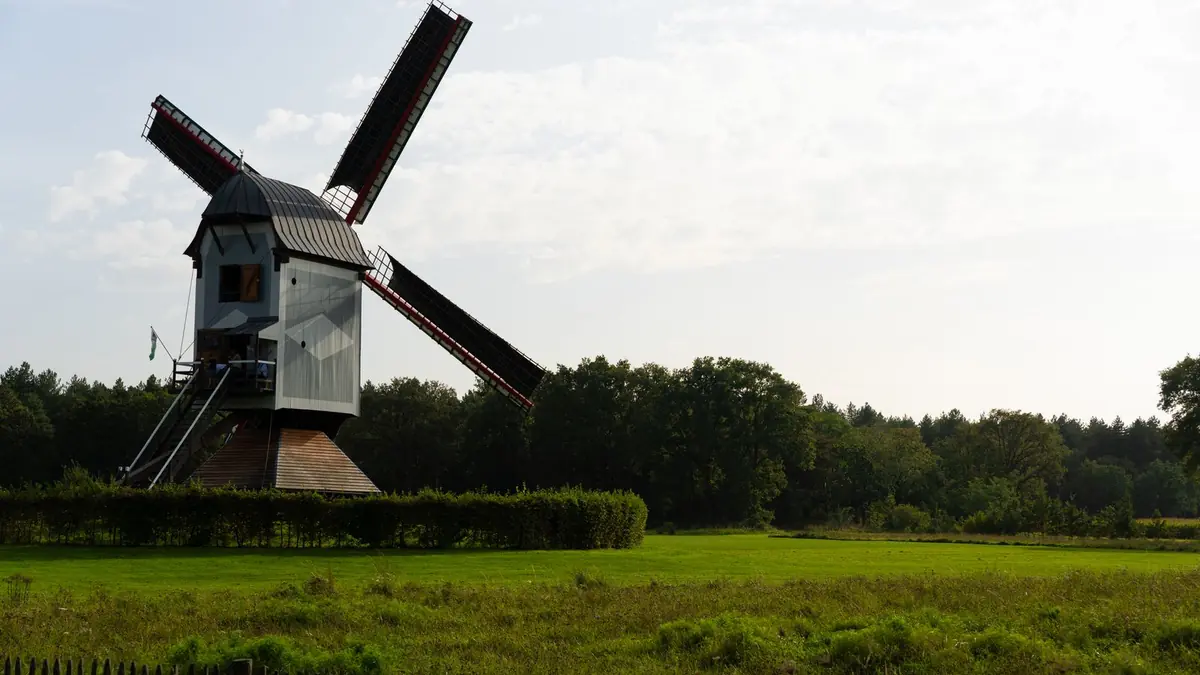 Houten windmolen in landelijk Lommel, Limburg